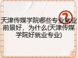 天津传媒学院哪些专业就业前景好，为什么(天津传媒学院好就业专业)