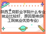 陕西工商职业学院什么专业就业比较好，原因是啥(陕工院就业优势专业)
