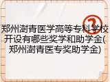 郑州澍青医学高等专科学校开设有哪些奖学和助学金(郑州澍青医专奖助学金)