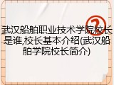 武汉船舶职业技术学院校长是谁,校长基本介绍(武汉船舶学院校长简介)