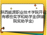 陕西能源职业技术学院开设有哪些奖学和助学金(陕能院奖助学金)