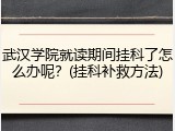 武汉学院就读期间挂科了怎么办呢？(挂科补救方法)