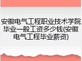 安徽电气工程职业技术学院毕业一般工资多少钱(安徽电气工程毕业薪资)