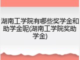 湖南工学院有哪些奖学金和助学金呢(湖南工学院奖助学金)