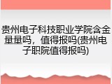 贵州电子科技职业学院含金量量吗，值得报吗(贵州电子职院值得报吗)