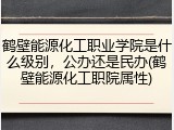 鹤壁能源化工职业学院是什么级别，公办还是民办(鹤壁能源化工职院属性)