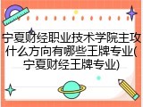 宁夏财经职业技术学院主攻什么方向有哪些王牌专业(宁夏财经王牌专业)