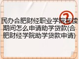 民办合肥财经职业学院在读期间怎么申请助学贷款(合肥财经学院助学贷款申请)