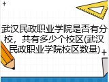 武汉民政职业学院是否有分校，共有多少个校区(武汉民政职业学院校区数量)
