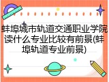 蚌埠城市轨道交通职业学院读什么专业比较有前景(蚌埠轨道专业前景)