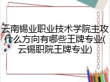 云南锡业职业技术学院主攻什么方向有哪些王牌专业(云锡职院王牌专业)