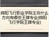 绵阳飞行职业学院主攻什么方向有哪些王牌专业(绵阳飞行学院王牌专业)