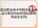 延边职业技术学院毕业生就业大致去向如何(延边职院毕业生去向)