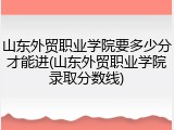 山东外贸职业学院要多少分才能进(山东外贸职业学院录取分数线)