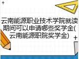 云南能源职业技术学院就读期间可以申请哪些奖学金(云南能源职院奖学金)