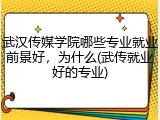 武汉传媒学院哪些专业就业前景好，为什么(武传就业好的专业)
