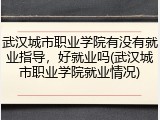 武汉城市职业学院有没有就业指导，好就业吗(武汉城市职业学院就业情况)