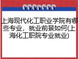 上海现代化工职业学院有哪些专业，就业前景如何(上海化工职院专业就业)