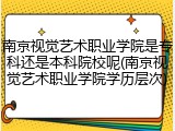 南京视觉艺术职业学院是专科还是本科院校呢(南京视觉艺术职业学院学历层次)