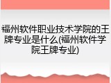 福州软件职业技术学院的王牌专业是什么(福州软件学院王牌专业)