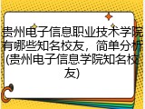 贵州电子信息职业技术学院有哪些知名校友，简单分析(贵州电子信息学院知名校友)