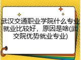 武汉交通职业学院什么专业就业比较好，原因是啥(武交院优势就业专业)