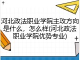 河北政法职业学院主攻方向是什么，怎么样(河北政法职业学院优势专业)