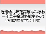 沧州幼儿师范高等专科学校一年奖学金最多能拿多少(沧州幼专奖学金上限)