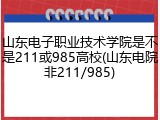 山东电子职业技术学院是不是211或985高校(山东电院非211/985)