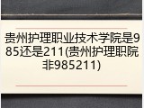 贵州护理职业技术学院是985还是211(贵州护理职院非985211)