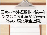 云南外事外语职业学院一年奖学金最多能拿多少(云南外事外语奖学金上限)