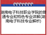 湖南电子科技职业学院的普通专业和特色专业详解(湖南电子科技专业解析)