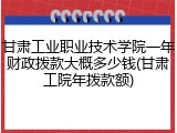 甘肃工业职业技术学院一年财政拨款大概多少钱(甘肃工院年拨款额)