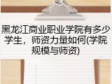 黑龙江商业职业学院有多少学生，师资力量如何(学院规模与师资)
