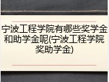 宁波工程学院有哪些奖学金和助学金呢(宁波工程学院奖助学金)