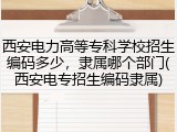 西安电力高等专科学校招生编码多少，隶属哪个部门(西安电专招生编码隶属)