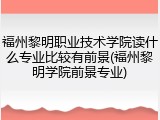 福州黎明职业技术学院读什么专业比较有前景(福州黎明学院前景专业)