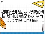 湖南冶金职业技术学院的院校代码和邮编是多少(湖南冶金学院代码邮编)
