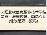 沈阳北软信息职业技术学院是双一流高校吗，简单介绍(北软是双一流吗)