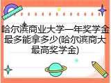 哈尔滨商业大学一年奖学金最多能拿多少(哈尔滨商大最高奖学金)