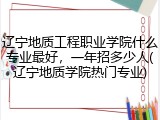 辽宁地质工程职业学院什么专业最好，一年招多少人(辽宁地质学院热门专业)