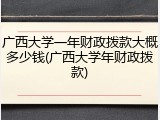 广西大学一年财政拨款大概多少钱(广西大学年财政拨款)