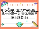 青岛港湾职业技术学院的王牌专业是什么(青岛港湾学院王牌专业)