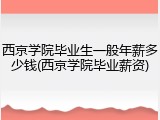 西京学院毕业生一般年薪多少钱(西京学院毕业薪资)