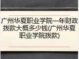 广州华夏职业学院一年财政拨款大概多少钱(广州华夏职业学院拨款)