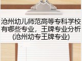 沧州幼儿师范高等专科学校有哪些专业，王牌专业分析(沧州幼专王牌专业)