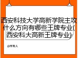 西安科技大学高新学院主攻什么方向有哪些王牌专业(西安科大高新王牌专业)