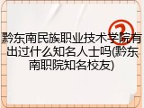 黔东南民族职业技术学院有出过什么知名人士吗(黔东南职院知名校友)