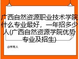 广西自然资源职业技术学院什么专业最好，一年招多少人(广西自然资源学院优势专业及招生)