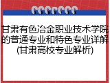 甘肃有色冶金职业技术学院的普通专业和特色专业详解(甘肃高校专业解析)